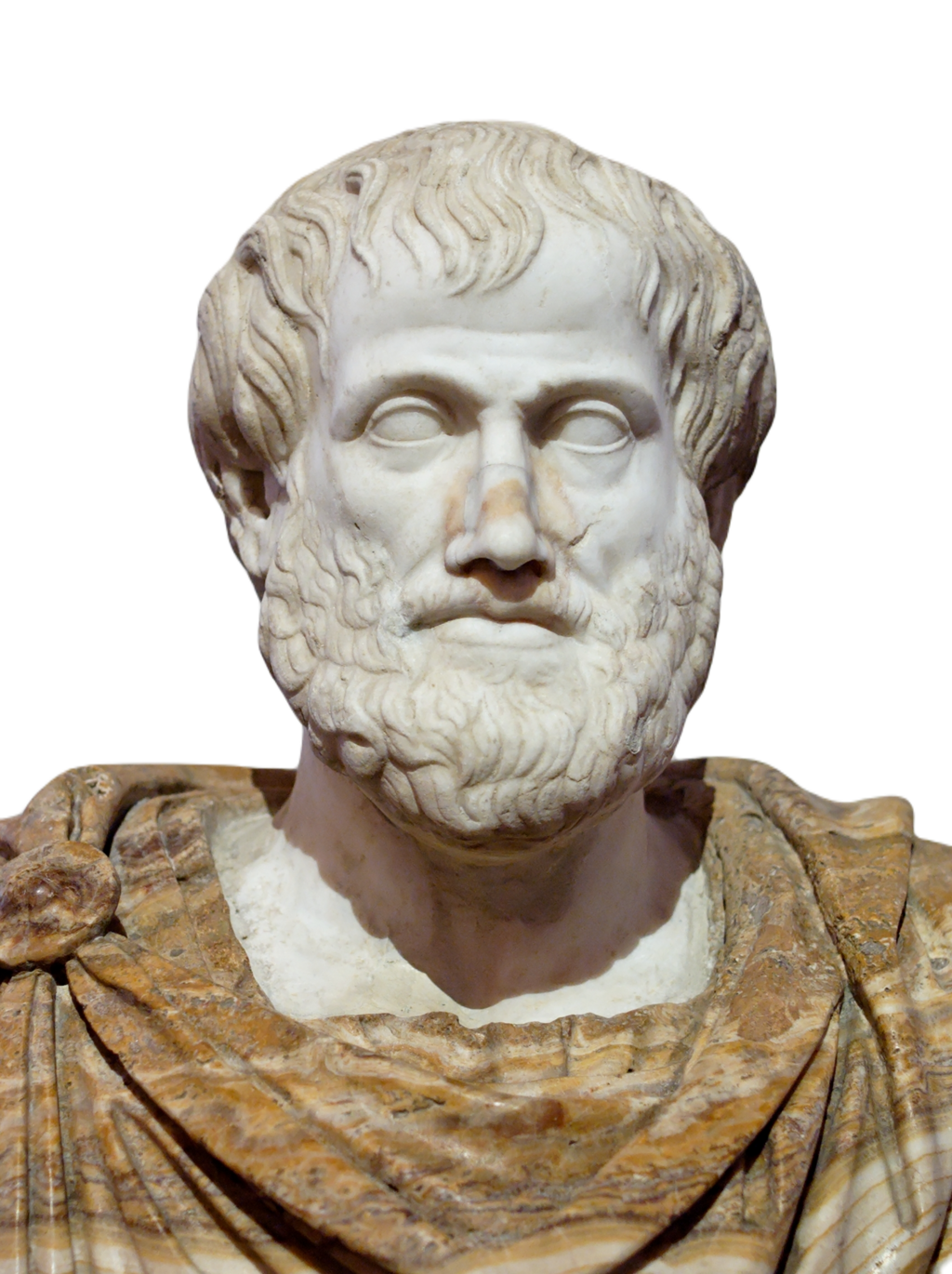 A bust of the Greek philosopher Aristotle.