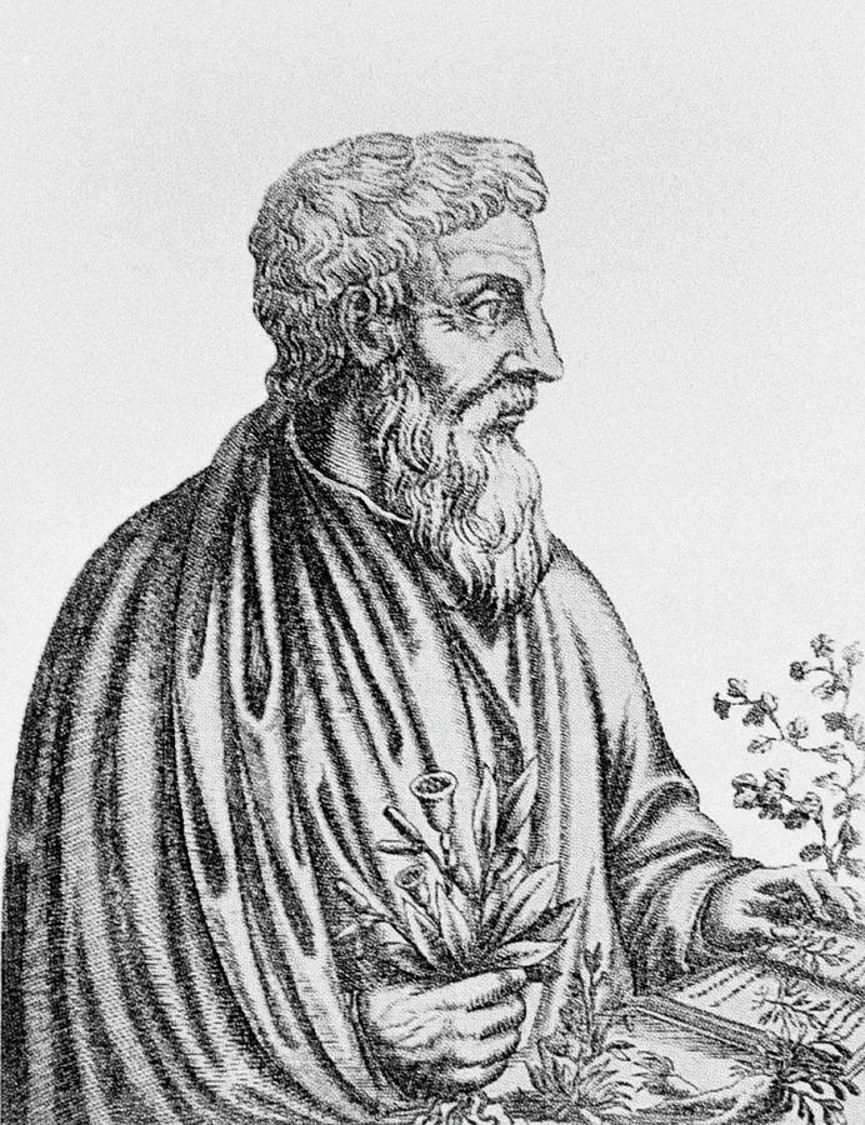 Greek-Roman physician Dioscorides