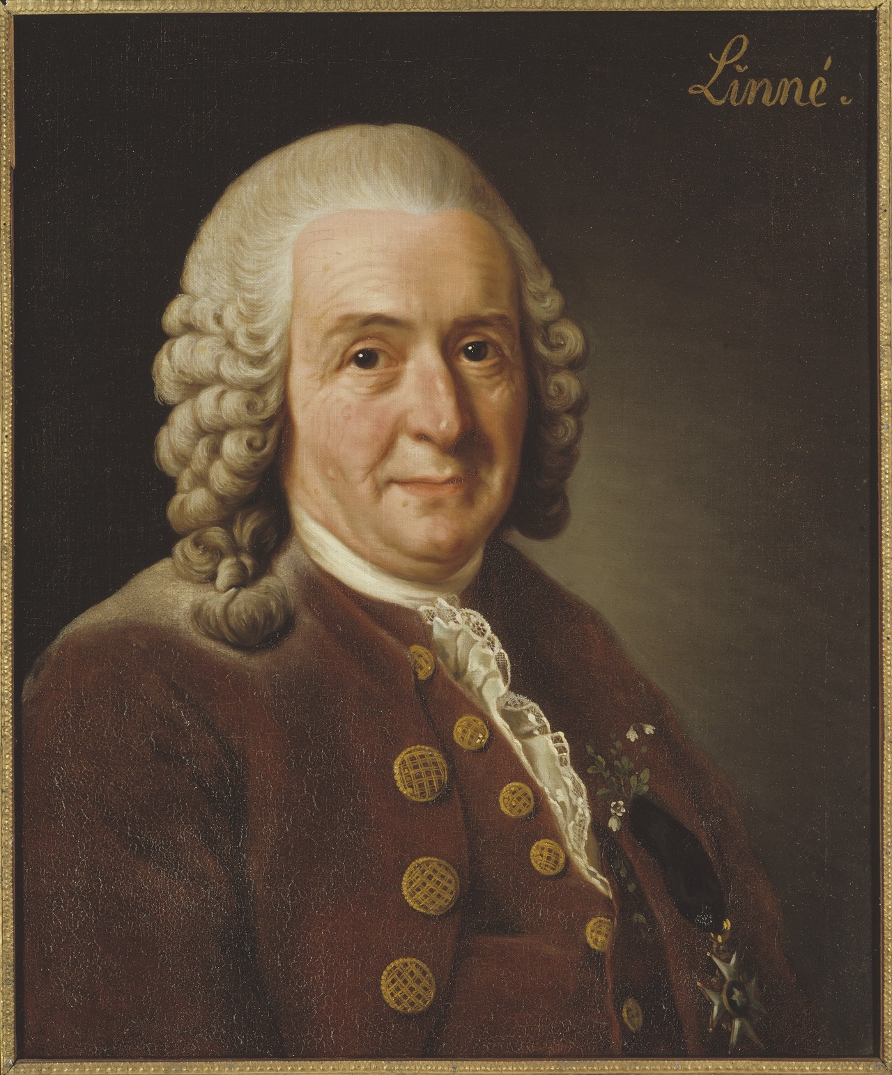 Carl Linnaeus