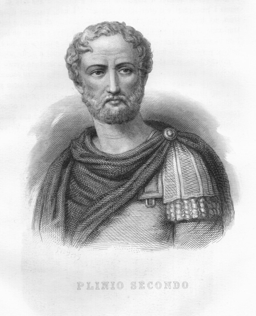 The Roman statesman and natural historian Pliny the Elder